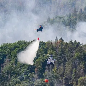 Waldbrand im Nationalpark Sächsische Schweiz