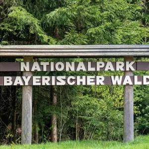 Pressekonferenz im Nationalpark Bayerischer Wald