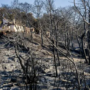 Nach dem Großbrand bei Athen