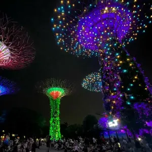 Die Supertrees in Singapur