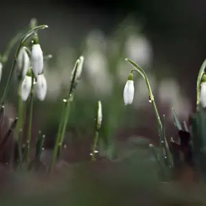 Wetter in Nordrhein-Westfalen