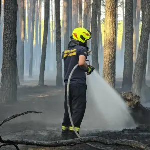 Waldbrand bei Ruhlsdorf