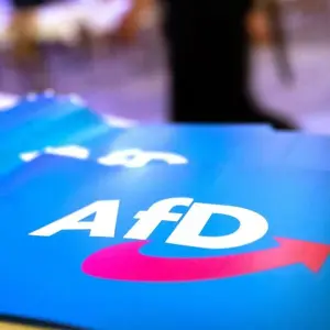 Debatte um ein AfD-Verbot