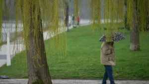 Ein Mann spaziert bei Regen durch die Koblenzer Rheinanlagen