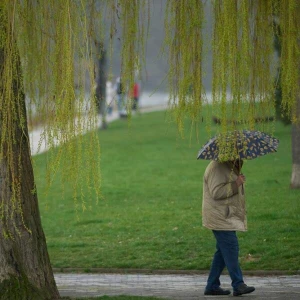 Ein Mann spaziert bei Regen durch die Koblenzer Rheinanlagen