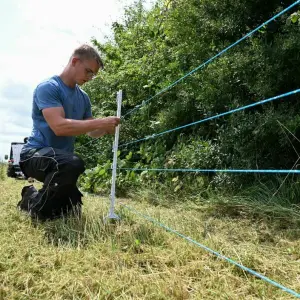 Elektrozaun zur Eindämmung der Schweinepest