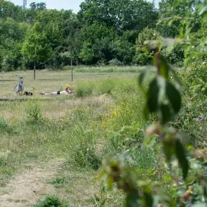 Heiße Tage in Rheinland-Pfalz erwartet