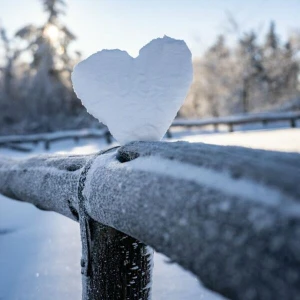 Winter Kälte Herz Herzgesundheit