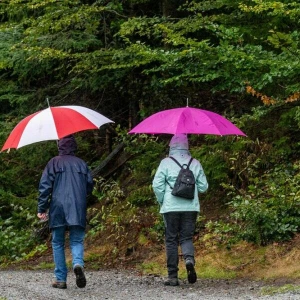 Wetterdienst: Regenschirm ist zum Wochenstart treuer Begleiter