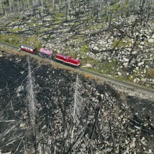 Großbrand am Brocken im Harz