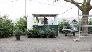 Weihnachtsbaumverkauf in Niedersachsen