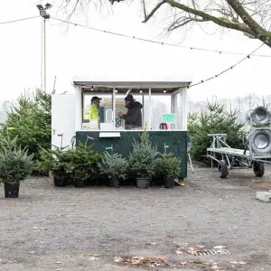 Weihnachtsbaumverkauf in Niedersachsen