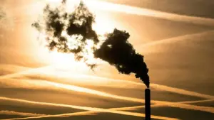 Analyse: CO2-Reduktion führt nicht zu Wettbewerbsnachteilen