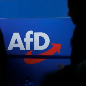 AfD Logo - SYMBOLBILD