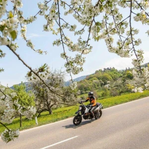 Ein Motorradfahrer fährt auf einer Landstrasse