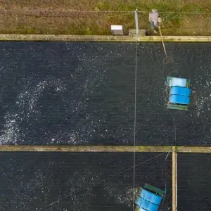 Aquakultur in Niedersachsen