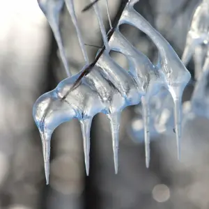 Frost und Eis im Harz