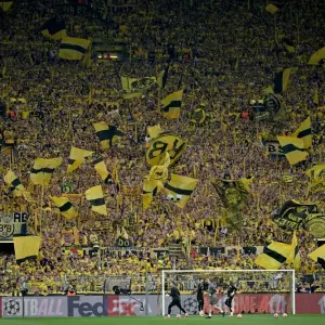 Dortmund-Fans