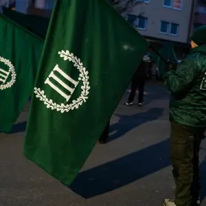 Symbolbild Demonstration Neonazi-Partei Der Dritte Weg