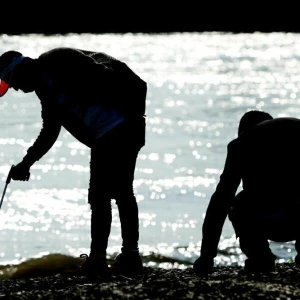 Freiwillige säubern Uferstreifen bei Aktion «RhineCleanUp»