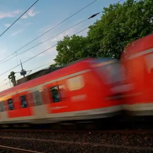 Baum fällt auf Gleise - 80 Zug-Passagiere müssen umsteigen