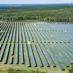 Photovoltaik-Freiflächenanlage