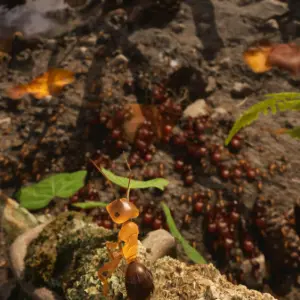 Empire of the Ants: Echtzeit-Strategiespiel im Wald – Diese Details zu Release, Setting, Gameplay, Story & Vorlage musst Du kennen
