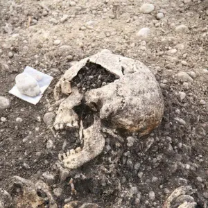 Untersuchungsergebnisse zu den gefundenen Skeletten in Neufahrn