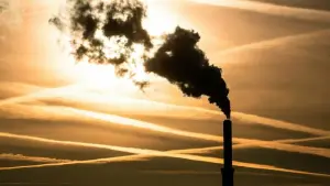 Analyse: CO2-Reduktion führt nicht zu Wettbewerbsnachteilen
