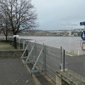 Hochwasser am Rhein