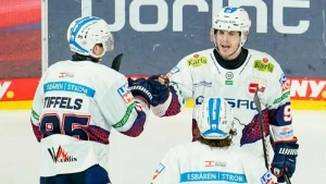 Eisbären-Profis Tiffels, Boychuk und Ronning