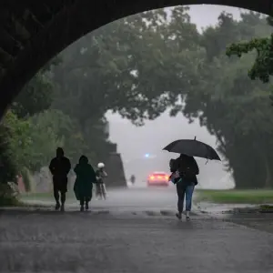 Regen in Dresden