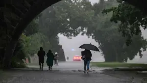 Regen in Dresden