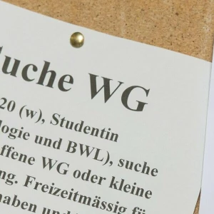 Studentenwohnung gesucht