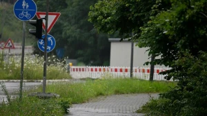 Zugewachsener Radweg