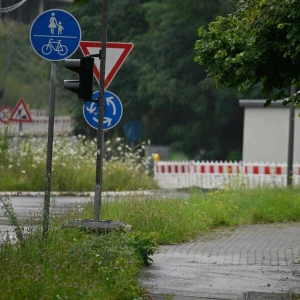 Zugewachsener Radweg