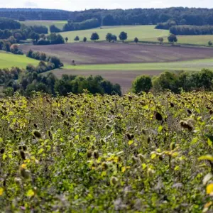 Spätsommer in NRW