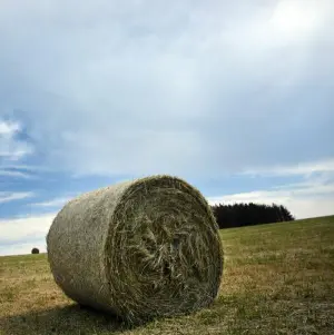 Unbeständiges Wetter in NRW