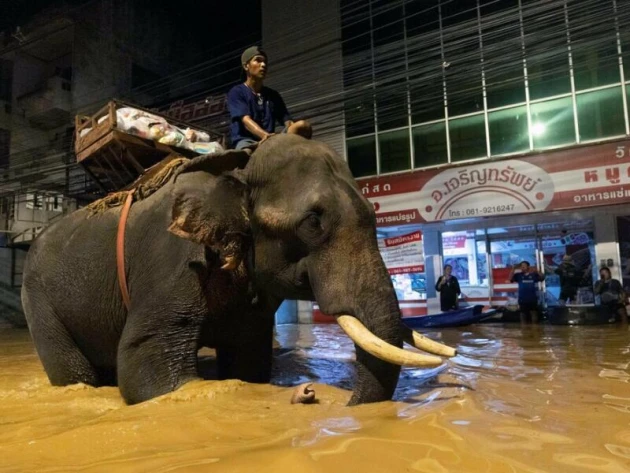 Hochwasser in Thailand