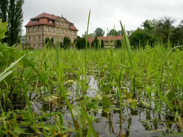 Wetter in Bayern – Viel Regen erwartet