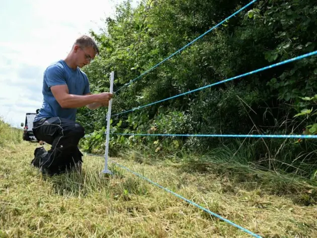 Elektrozaun zur Eindämmung der Schweinepest