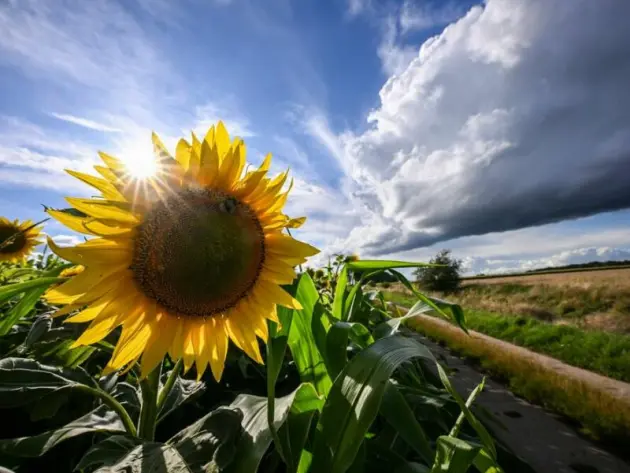 Deutscher Wetterdienst veröffentlicht vorläufige Sommerbilanz