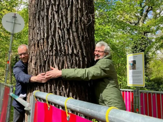 Baum-Umarmung bei Open-Air-Ausstellung im Park Sanssouci