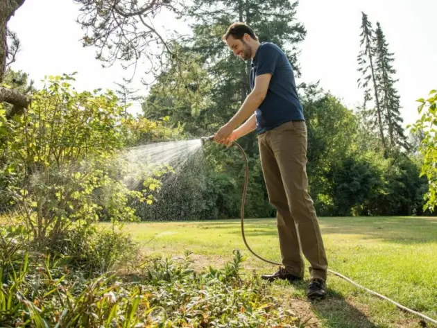 Person wässert Pflanzen im Garten